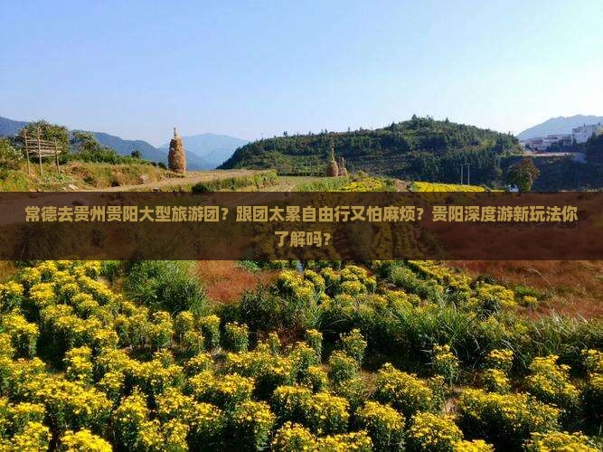 常德去贵州贵阳大型旅游团