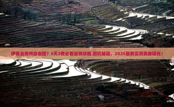 伊春去贵州自由团