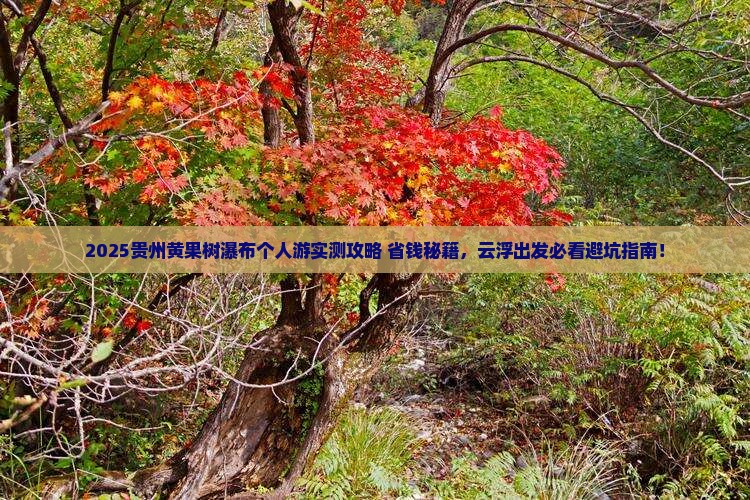 云浮去贵州黄果树瀑布个人游