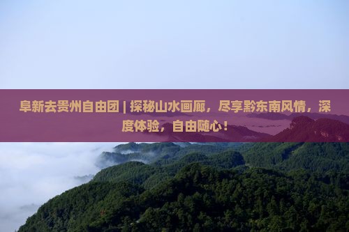 阜新去贵州自由团