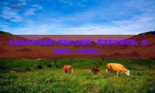 阜新去贵州自由团