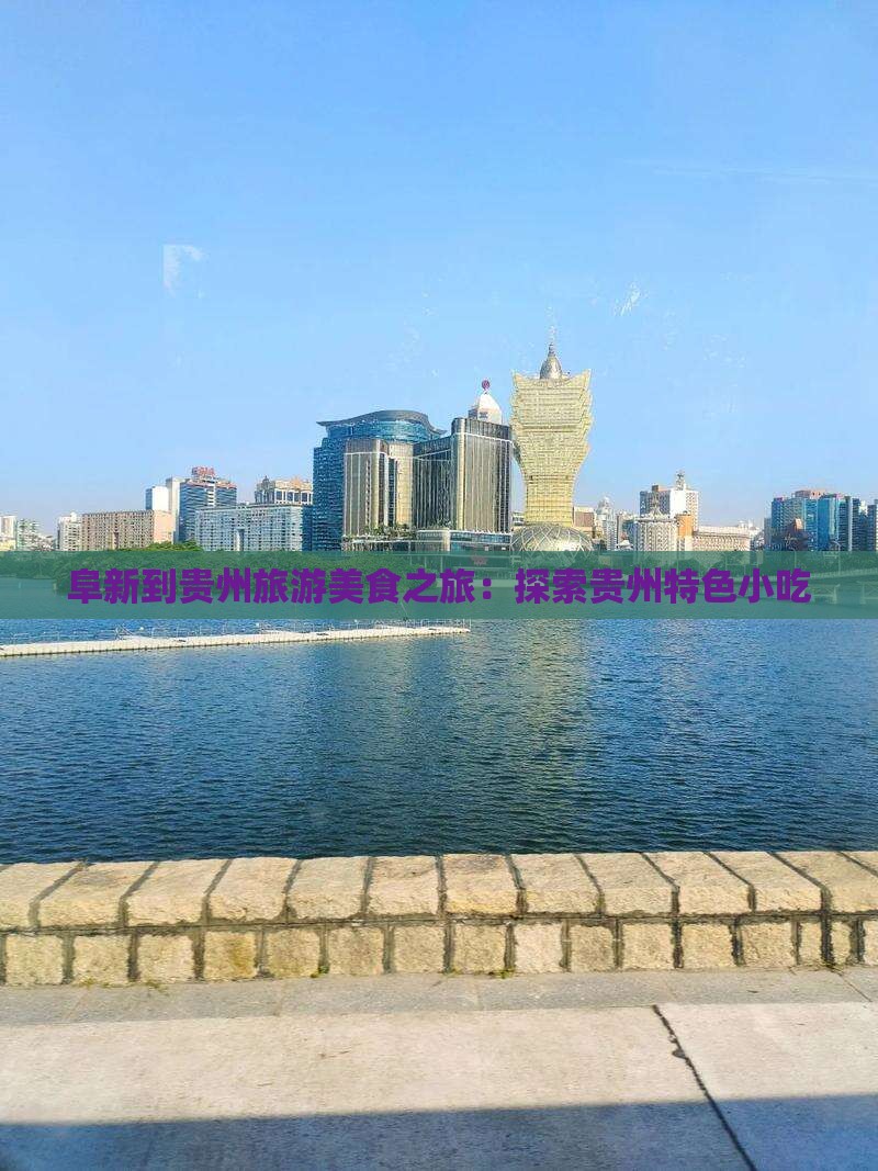 阜新到贵州旅游小吃