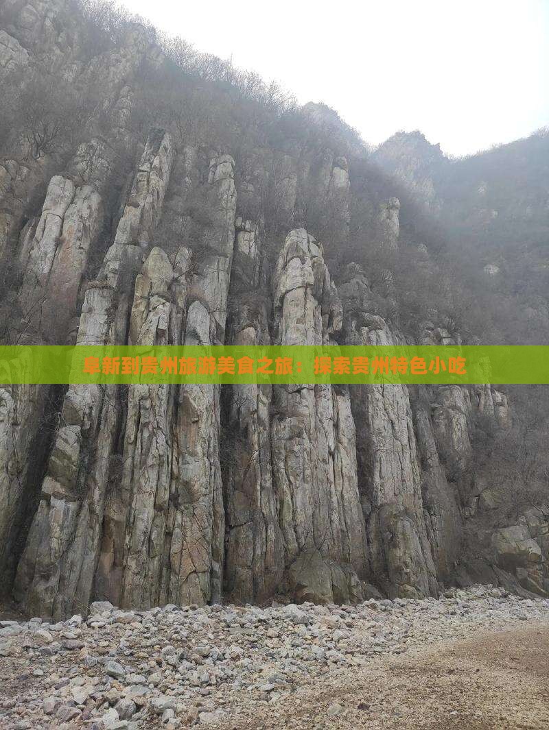 阜新到贵州旅游小吃