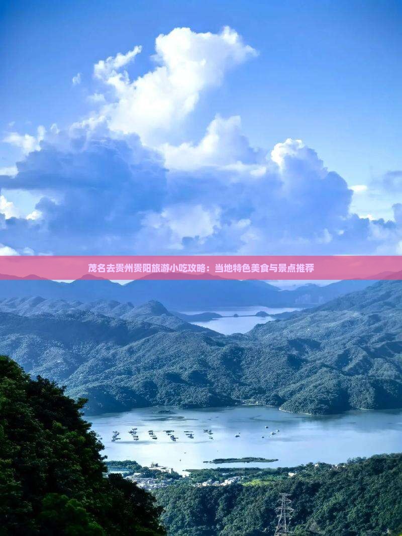 茂名去贵州贵阳旅游小吃