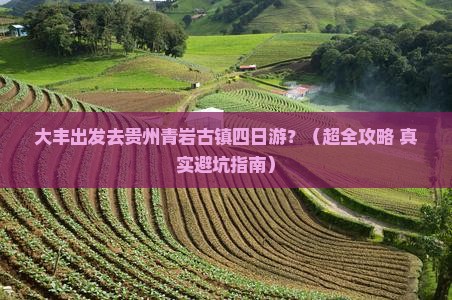 大丰到贵州青岩古镇四日游