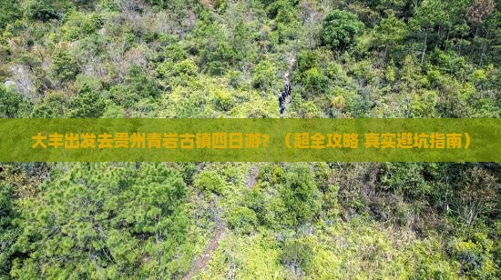 大丰到贵州青岩古镇四日游