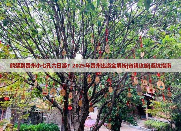 鹤壁到贵州小七孔六日游