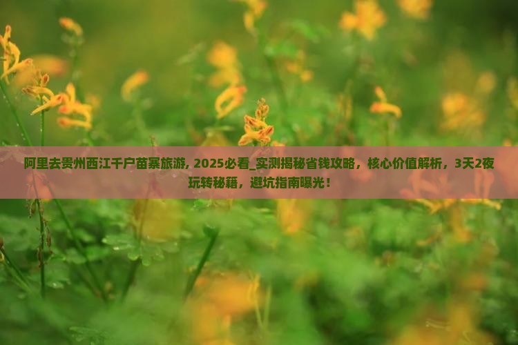 阿里去贵州西江千户苗寨旅游