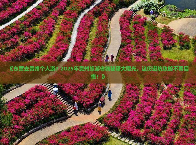 东营去贵州个人游