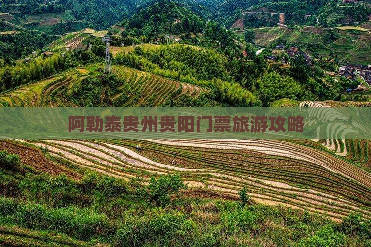 阿泰勒去贵州贵阳门票