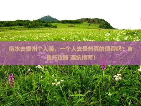 衡水去贵州个人游