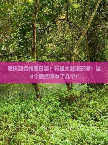 重庆到贵州四日游