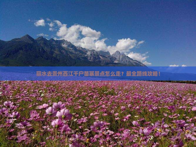 丽水去贵州西江千户苗寨景点