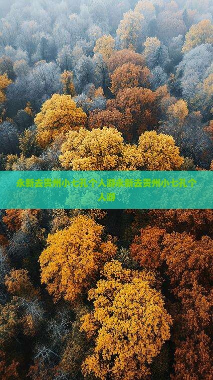 永新去贵州小七孔个人游