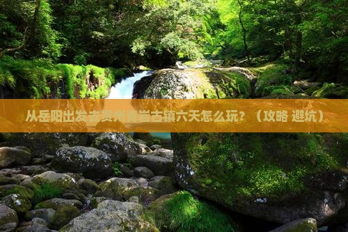 岳阳到贵州青岩古镇六日游