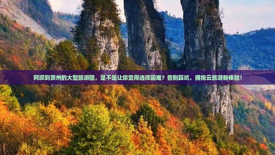 阿坝到贵州大型旅游团