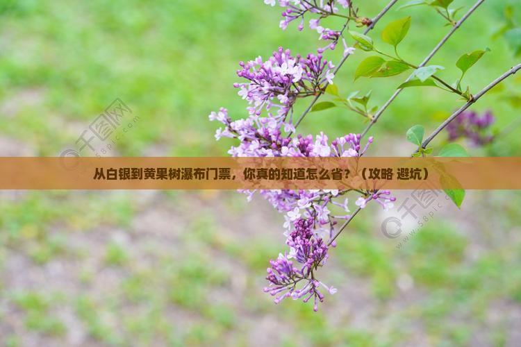 白银到贵州黄果树瀑布门票