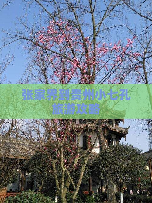 张家界到贵州小七孔门票