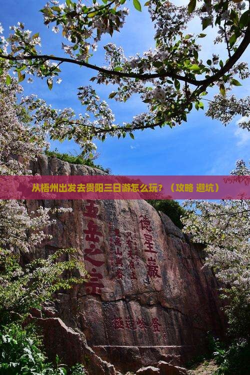 梧州去贵州贵阳三日游