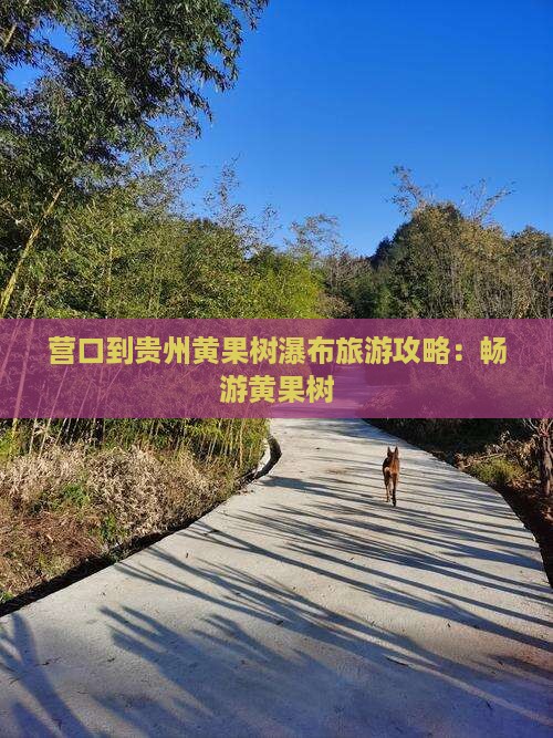 营口到贵州黄果树瀑布旅游