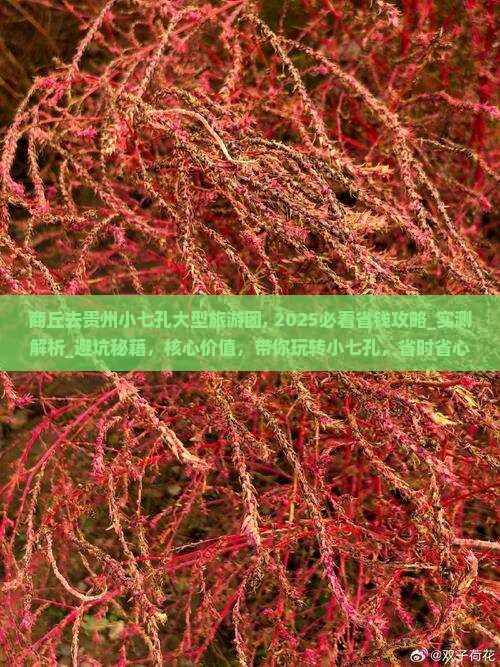 商丘去贵州小七孔大型旅游团