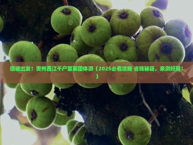 塔城到贵州西江千户苗寨团体旅游