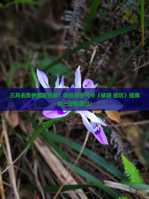 三月去贵州青岩古镇必去地