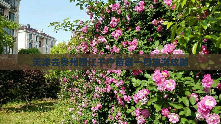 天津去贵州西江千户苗寨一日 天津去贵州西江千户苗寨一日