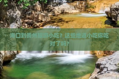 海口到贵州旅游小吃