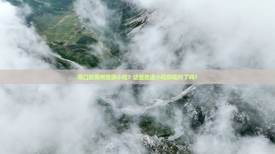 海口到贵州旅游小吃