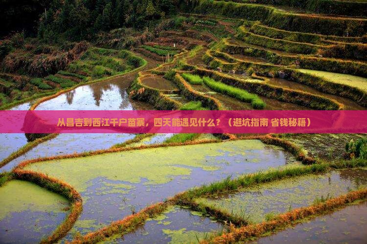 昌吉到贵州西江千户苗寨四日游