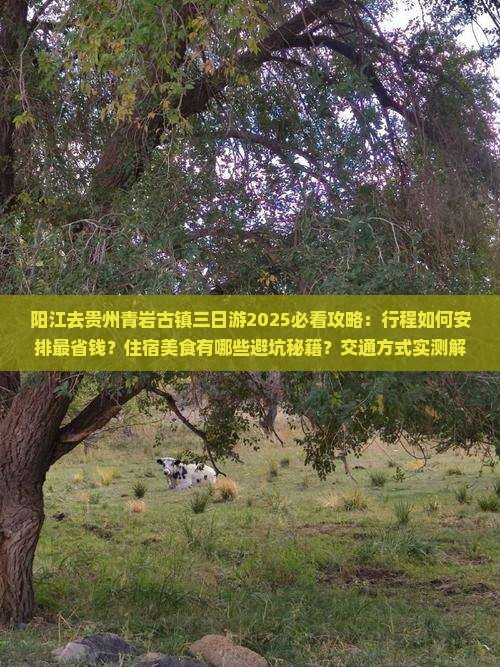 阳江去贵州青岩古镇三日游