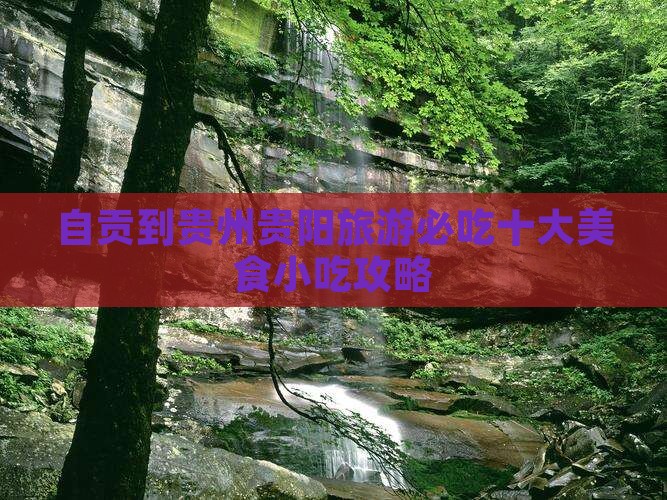 自贡到贵州贵阳旅游小吃