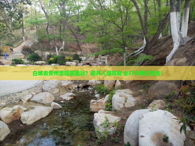 白城去贵州贵阳哪里玩