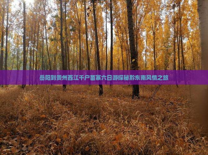 岳阳到贵州西江千户苗寨六日游