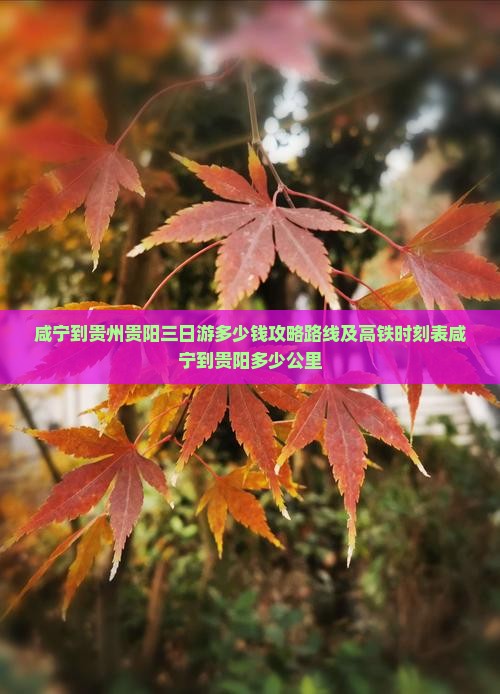 咸宁到贵州贵阳三日游