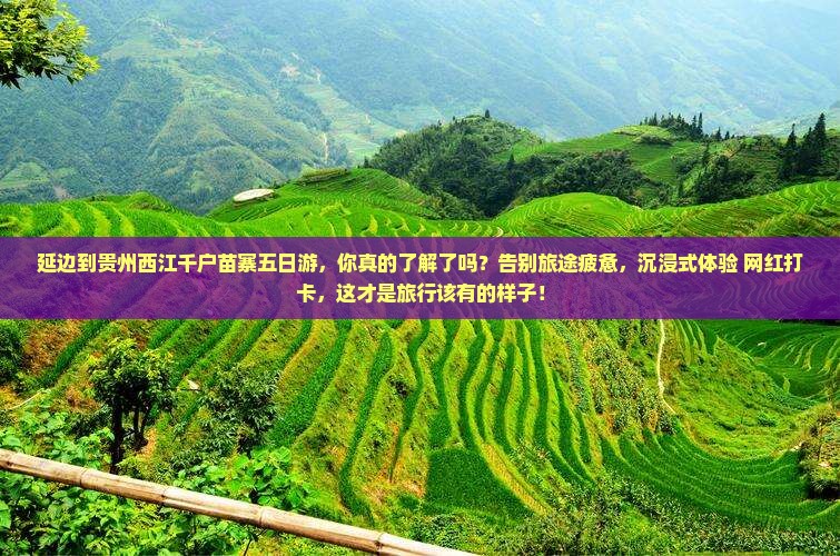 延边到贵州西江千户苗寨五日游