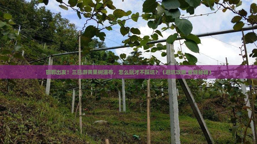 邯郸去贵州黄果树瀑布三日游 邯郸去贵州黄果树瀑布三日游