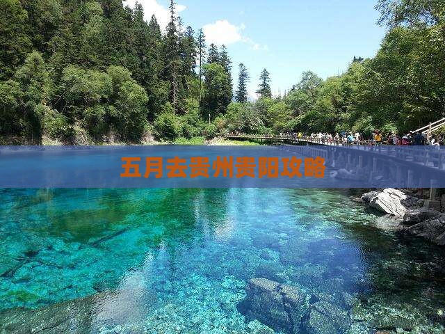 五月去贵州贵阳攻略