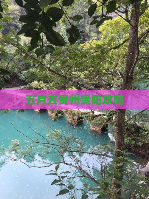 五月去贵州贵阳攻略