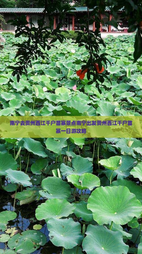 南宁去贵州西江千户苗寨景点