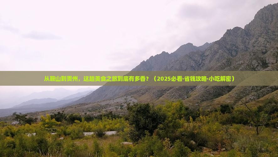 鞍山到贵州旅游小吃