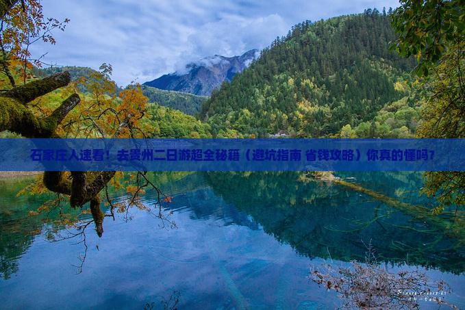 石家庄去贵州二日游