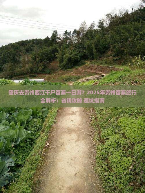 肇庆去贵州西江千户苗寨一日 肇庆去贵州西江千户苗寨一日