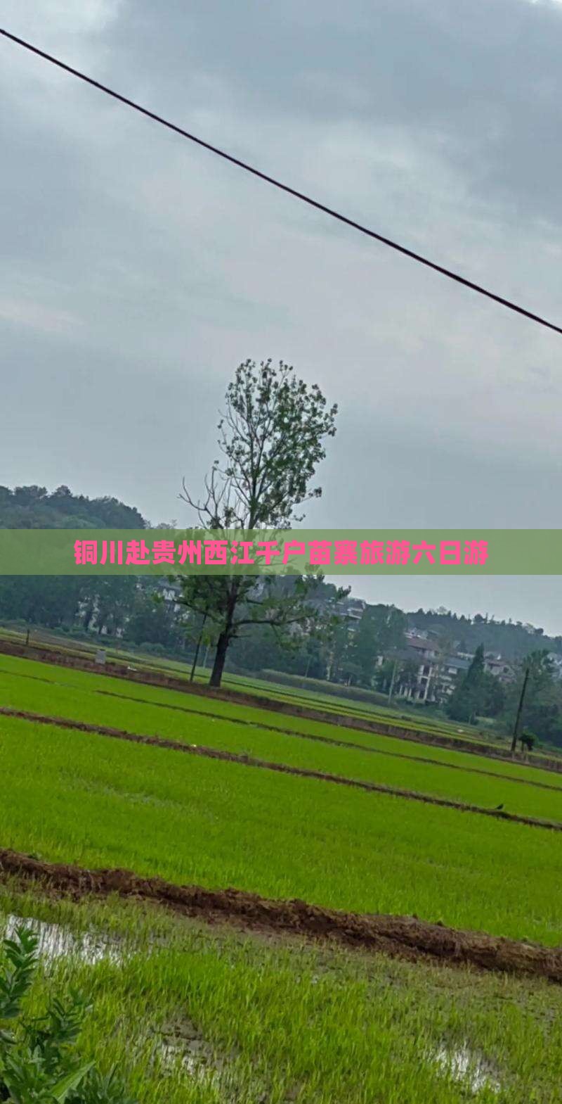 铜川去贵州西江千户苗寨六日游