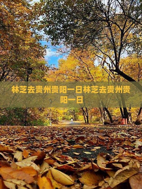 林芝去贵州贵阳一日
