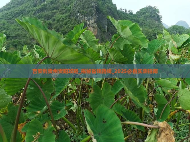 吉安到贵州贵阳攻略
