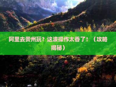 阿里去贵州景点