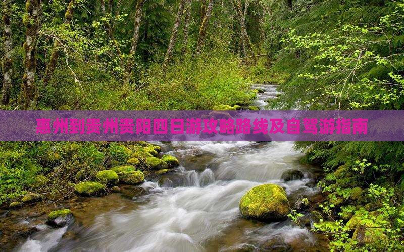 惠州到贵州贵阳四日游