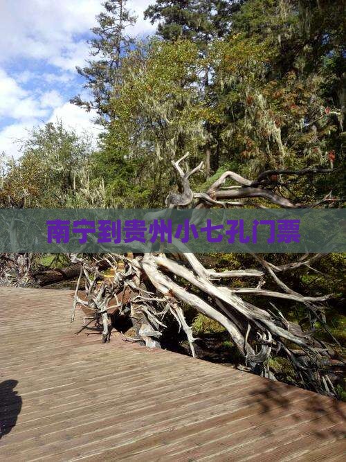 南宁到贵州小七孔门票